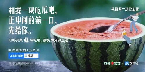 福建酒吧吃瓜事件,一场引发热议的社交冲突纪实