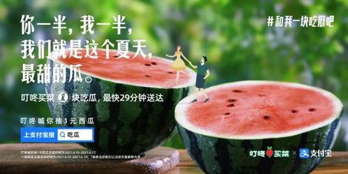 吃瓜文案聊天,揭秘娱乐圈那些吃瓜文案背后的故事