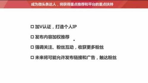 头条粉丝能看到多少人,数字背后的人生百态