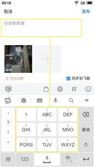 微头条怎么定点发布,教你如何定点发布内容
