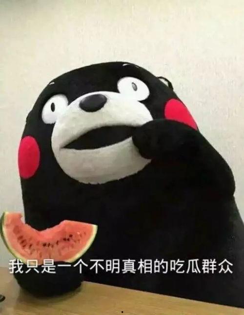 吃瓜表情大号,揭秘网络红人的魅力与影响力