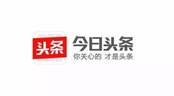 今日头条南北差异,一篇文章带你领略中国南北文化碰撞