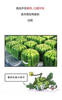历史吃瓜吃自己,吃瓜吃自己，揭秘古代奇闻轶事