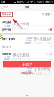 头条的字如何缩小大小,揭秘如何高效缩放字体大小
