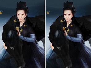 明星黑衣剧照,黑衣剧照背后的故事