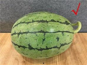 这几年吃的娱乐瓜