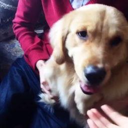 傻狗的日常娱乐吃瓜君,吃瓜君带你领略娱乐圈的欢乐瞬间