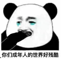 娱乐吃瓜酱男人有多记仇,揭秘男人“记仇”背后的心理真相